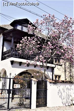 [P40] str. Diligenţei nr.47 » foto by Michi <span class="label label-default labelC_thin small">NEVOTABILĂ</span>