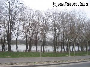 [P29] La margine de lac » foto by Michi
 - 
<span class="allrVoted glyphicon glyphicon-heart hidden" id="av502632"></span>
<a class="m-l-10 hidden" id="sv502632" onclick="voting_Foto_DelVot(,502632,3511)" role="button">șterge vot <span class="glyphicon glyphicon-remove"></span></a>
<a id="v9502632" class=" c-red"  onclick="voting_Foto_SetVot(502632)" role="button"><span class="glyphicon glyphicon-heart-empty"></span> <b>LIKE</b> = Votează poza</a> <img class="hidden"  id="f502632W9" src="/imagini/loader.gif" border="0" /><span class="AjErrMes hidden" id="e502632ErM"></span>
