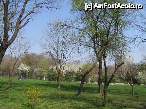 [P35] În parcul Floreasca » foto by Michi
 - 
<span class="allrVoted glyphicon glyphicon-heart hidden" id="av502638"></span>
<a class="m-l-10 hidden" id="sv502638" onclick="voting_Foto_DelVot(,502638,3511)" role="button">șterge vot <span class="glyphicon glyphicon-remove"></span></a>
<a id="v9502638" class=" c-red"  onclick="voting_Foto_SetVot(502638)" role="button"><span class="glyphicon glyphicon-heart-empty"></span> <b>LIKE</b> = Votează poza</a> <img class="hidden"  id="f502638W9" src="/imagini/loader.gif" border="0" /><span class="AjErrMes hidden" id="e502638ErM"></span>