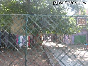 [P29] Singura casă ˝ invadată˝ pe care am văzut-o în cartier » foto by Michi
 - 
<span class="allrVoted glyphicon glyphicon-heart hidden" id="av559019"></span>
<a class="m-l-10 hidden" id="sv559019" onclick="voting_Foto_DelVot(,559019,3511)" role="button">șterge vot <span class="glyphicon glyphicon-remove"></span></a>
<a id="v9559019" class=" c-red"  onclick="voting_Foto_SetVot(559019)" role="button"><span class="glyphicon glyphicon-heart-empty"></span> <b>LIKE</b> = Votează poza</a> <img class="hidden"  id="f559019W9" src="/imagini/loader.gif" border="0" /><span class="AjErrMes hidden" id="e559019ErM"></span>