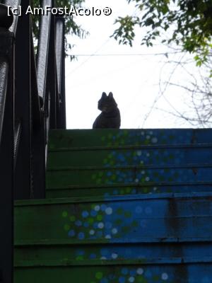 [P17] Peisaj colorat :) » foto by tata123 🔱
 - 
<span class="allrVoted glyphicon glyphicon-heart hidden" id="av1196923"></span>
<a class="m-l-10 hidden" id="sv1196923" onclick="voting_Foto_DelVot(,1196923,3511)" role="button">șterge vot <span class="glyphicon glyphicon-remove"></span></a>
<a id="v91196923" class=" c-red"  onclick="voting_Foto_SetVot(1196923)" role="button"><span class="glyphicon glyphicon-heart-empty"></span> <b>LIKE</b> = Votează poza</a> <img class="hidden"  id="f1196923W9" src="/imagini/loader.gif" border="0" /><span class="AjErrMes hidden" id="e1196923ErM"></span>