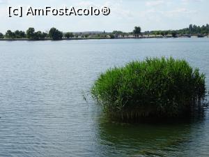 [P09] &Icirc;n apropierea insulei. » foto by tata123 🔱
 - 
<span class="allrVoted glyphicon glyphicon-heart hidden" id="av1310188"></span>
<a class="m-l-10 hidden" id="sv1310188" onclick="voting_Foto_DelVot(,1310188,3511)" role="button">șterge vot <span class="glyphicon glyphicon-remove"></span></a>
<a id="v91310188" class=" c-red"  onclick="voting_Foto_SetVot(1310188)" role="button"><span class="glyphicon glyphicon-heart-empty"></span> <b>LIKE</b> = Votează poza</a> <img class="hidden"  id="f1310188W9" src="/imagini/loader.gif" border="0" /><span class="AjErrMes hidden" id="e1310188ErM"></span>