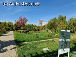 [P12] Parcul dendrologic. » foto by tata123 🔱
 - 
<span class="allrVoted glyphicon glyphicon-heart hidden" id="av1331476"></span>
<a class="m-l-10 hidden" id="sv1331476" onclick="voting_Foto_DelVot(,1331476,3511)" role="button">șterge vot <span class="glyphicon glyphicon-remove"></span></a>
<a id="v91331476" class=" c-red"  onclick="voting_Foto_SetVot(1331476)" role="button"><span class="glyphicon glyphicon-heart-empty"></span> <b>LIKE</b> = Votează poza</a> <img class="hidden"  id="f1331476W9" src="/imagini/loader.gif" border="0" /><span class="AjErrMes hidden" id="e1331476ErM"></span>