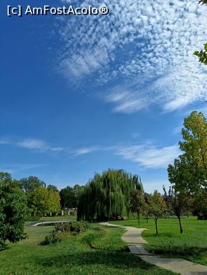 [P15] Parcul dendrologic - liniște și relaxare. » foto by tata123 🔱
 - 
<span class="allrVoted glyphicon glyphicon-heart hidden" id="av1331479"></span>
<a class="m-l-10 hidden" id="sv1331479" onclick="voting_Foto_DelVot(,1331479,3511)" role="button">șterge vot <span class="glyphicon glyphicon-remove"></span></a>
<a id="v91331479" class=" c-red"  onclick="voting_Foto_SetVot(1331479)" role="button"><span class="glyphicon glyphicon-heart-empty"></span> <b>LIKE</b> = Votează poza</a> <img class="hidden"  id="f1331479W9" src="/imagini/loader.gif" border="0" /><span class="AjErrMes hidden" id="e1331479ErM"></span>