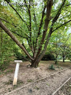 [P19] Diverse specii lemnoase. » foto by tata123 🔱
 - 
<span class="allrVoted glyphicon glyphicon-heart hidden" id="av1331483"></span>
<a class="m-l-10 hidden" id="sv1331483" onclick="voting_Foto_DelVot(,1331483,3511)" role="button">șterge vot <span class="glyphicon glyphicon-remove"></span></a>
<a id="v91331483" class=" c-red"  onclick="voting_Foto_SetVot(1331483)" role="button"><span class="glyphicon glyphicon-heart-empty"></span> <b>LIKE</b> = Votează poza</a> <img class="hidden"  id="f1331483W9" src="/imagini/loader.gif" border="0" /><span class="AjErrMes hidden" id="e1331483ErM"></span>