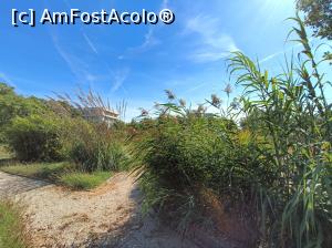 [P05] Prin sectorul decorativ. » foto by tata123 🔱
 - 
<span class="allrVoted glyphicon glyphicon-heart hidden" id="av1331469"></span>
<a class="m-l-10 hidden" id="sv1331469" onclick="voting_Foto_DelVot(,1331469,3511)" role="button">șterge vot <span class="glyphicon glyphicon-remove"></span></a>
<a id="v91331469" class=" c-red"  onclick="voting_Foto_SetVot(1331469)" role="button"><span class="glyphicon glyphicon-heart-empty"></span> <b>LIKE</b> = Votează poza</a> <img class="hidden"  id="f1331469W9" src="/imagini/loader.gif" border="0" /><span class="AjErrMes hidden" id="e1331469ErM"></span>