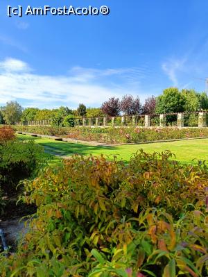 [P09] Rozariul - imagine de ansamblu. » foto by tata123 🔱
 - 
<span class="allrVoted glyphicon glyphicon-heart hidden" id="av1331473"></span>
<a class="m-l-10 hidden" id="sv1331473" onclick="voting_Foto_DelVot(,1331473,3511)" role="button">șterge vot <span class="glyphicon glyphicon-remove"></span></a>
<a id="v91331473" class=" c-red"  onclick="voting_Foto_SetVot(1331473)" role="button"><span class="glyphicon glyphicon-heart-empty"></span> <b>LIKE</b> = Votează poza</a> <img class="hidden"  id="f1331473W9" src="/imagini/loader.gif" border="0" /><span class="AjErrMes hidden" id="e1331473ErM"></span>