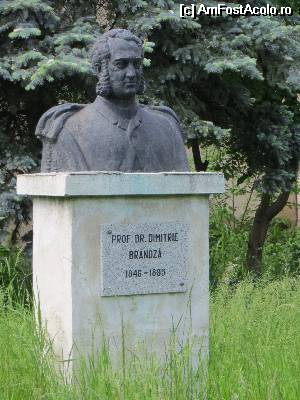 [P08] Bust prof. dr. Dimitrie Brândză - întemeiatorul Grădinii Botanice din Bucureşti » foto by tata123 🔱
 - 
<span class="allrVoted glyphicon glyphicon-heart hidden" id="av509402"></span>
<a class="m-l-10 hidden" id="sv509402" onclick="voting_Foto_DelVot(,509402,3511)" role="button">șterge vot <span class="glyphicon glyphicon-remove"></span></a>
<a id="v9509402" class=" c-red"  onclick="voting_Foto_SetVot(509402)" role="button"><span class="glyphicon glyphicon-heart-empty"></span> <b>LIKE</b> = Votează poza</a> <img class="hidden"  id="f509402W9" src="/imagini/loader.gif" border="0" /><span class="AjErrMes hidden" id="e509402ErM"></span>