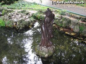 [P17] Nimfă - Parcul Cișmigiu.  » foto by tata123 🔱
 - 
<span class="allrVoted glyphicon glyphicon-heart hidden" id="av683948"></span>
<a class="m-l-10 hidden" id="sv683948" onclick="voting_Foto_DelVot(,683948,3511)" role="button">șterge vot <span class="glyphicon glyphicon-remove"></span></a>
<a id="v9683948" class=" c-red"  onclick="voting_Foto_SetVot(683948)" role="button"><span class="glyphicon glyphicon-heart-empty"></span> <b>LIKE</b> = Votează poza</a> <img class="hidden"  id="f683948W9" src="/imagini/loader.gif" border="0" /><span class="AjErrMes hidden" id="e683948ErM"></span>