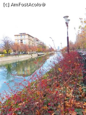 [P06] Toamna pe malurile râului...  » foto by tata123 🔱
 - 
<span class="allrVoted glyphicon glyphicon-heart hidden" id="av716474"></span>
<a class="m-l-10 hidden" id="sv716474" onclick="voting_Foto_DelVot(,716474,3511)" role="button">șterge vot <span class="glyphicon glyphicon-remove"></span></a>
<a id="v9716474" class=" c-red"  onclick="voting_Foto_SetVot(716474)" role="button"><span class="glyphicon glyphicon-heart-empty"></span> <b>LIKE</b> = Votează poza</a> <img class="hidden"  id="f716474W9" src="/imagini/loader.gif" border="0" /><span class="AjErrMes hidden" id="e716474ErM"></span>