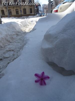 [P16] Pe o potecuță ne îndreptăm spre Calea Victoriei.  » foto by tata123 🔱
 - 
<span class="allrVoted glyphicon glyphicon-heart hidden" id="av948686"></span>
<a class="m-l-10 hidden" id="sv948686" onclick="voting_Foto_DelVot(,948686,3511)" role="button">șterge vot <span class="glyphicon glyphicon-remove"></span></a>
<a id="v9948686" class=" c-red"  onclick="voting_Foto_SetVot(948686)" role="button"><span class="glyphicon glyphicon-heart-empty"></span> <b>LIKE</b> = Votează poza</a> <img class="hidden"  id="f948686W9" src="/imagini/loader.gif" border="0" /><span class="AjErrMes hidden" id="e948686ErM"></span>