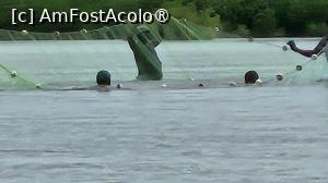 [P20] pescarii la treabă » foto by robert
 - 
<span class="allrVoted glyphicon glyphicon-heart hidden" id="av1511287"></span>
<a class="m-l-10 hidden" id="sv1511287" onclick="voting_Foto_DelVot(,1511287,3514)" role="button">șterge vot <span class="glyphicon glyphicon-remove"></span></a>
<a id="v91511287" class=" c-red"  onclick="voting_Foto_SetVot(1511287)" role="button"><span class="glyphicon glyphicon-heart-empty"></span> <b>LIKE</b> = Votează poza</a> <img class="hidden"  id="f1511287W9" src="/imagini/loader.gif" border="0" /><span class="AjErrMes hidden" id="e1511287ErM"></span>