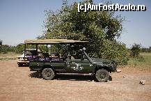 [P04] Serengeti » foto by mariarosa
 - 
<span class="allrVoted glyphicon glyphicon-heart hidden" id="av83207"></span>
<a class="m-l-10 hidden" id="sv83207" onclick="voting_Foto_DelVot(,83207,3516)" role="button">șterge vot <span class="glyphicon glyphicon-remove"></span></a>
<a id="v983207" class=" c-red"  onclick="voting_Foto_SetVot(83207)" role="button"><span class="glyphicon glyphicon-heart-empty"></span> <b>LIKE</b> = Votează poza</a> <img class="hidden"  id="f83207W9" src="/imagini/loader.gif" border="0" /><span class="AjErrMes hidden" id="e83207ErM"></span>
