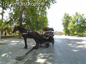 [P47] Trăsura, un mijloc de deplasare pentru cei cu dare de mână.  » foto by Carmen Ion
 - 
<span class="allrVoted glyphicon glyphicon-heart hidden" id="av1081979"></span>
<a class="m-l-10 hidden" id="sv1081979" onclick="voting_Foto_DelVot(,1081979,3527)" role="button">șterge vot <span class="glyphicon glyphicon-remove"></span></a>
<a id="v91081979" class=" c-red"  onclick="voting_Foto_SetVot(1081979)" role="button"><span class="glyphicon glyphicon-heart-empty"></span> <b>LIKE</b> = Votează poza</a> <img class="hidden"  id="f1081979W9" src="/imagini/loader.gif" border="0" /><span class="AjErrMes hidden" id="e1081979ErM"></span>