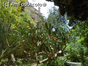[P13] San Giovanni degli Eremiti - gradina luxurianta » foto by Carmen Ion
 - 
<span class="allrVoted glyphicon glyphicon-heart hidden" id="av1086246"></span>
<a class="m-l-10 hidden" id="sv1086246" onclick="voting_Foto_DelVot(,1086246,3527)" role="button">șterge vot <span class="glyphicon glyphicon-remove"></span></a>
<a id="v91086246" class=" c-red"  onclick="voting_Foto_SetVot(1086246)" role="button"><span class="glyphicon glyphicon-heart-empty"></span> <b>LIKE</b> = Votează poza</a> <img class="hidden"  id="f1086246W9" src="/imagini/loader.gif" border="0" /><span class="AjErrMes hidden" id="e1086246ErM"></span>