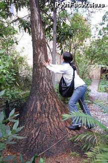 [P14] Ma maimutaream si eu, evident ca nu puteam urca acolo :)) » foto by ancamariagadea*
 - 
<span class="allrVoted glyphicon glyphicon-heart hidden" id="av59031"></span>
<a class="m-l-10 hidden" id="sv59031" onclick="voting_Foto_DelVot(,59031,3527)" role="button">șterge vot <span class="glyphicon glyphicon-remove"></span></a>
<a id="v959031" class=" c-red"  onclick="voting_Foto_SetVot(59031)" role="button"><span class="glyphicon glyphicon-heart-empty"></span> <b>LIKE</b> = Votează poza</a> <img class="hidden"  id="f59031W9" src="/imagini/loader.gif" border="0" /><span class="AjErrMes hidden" id="e59031ErM"></span>