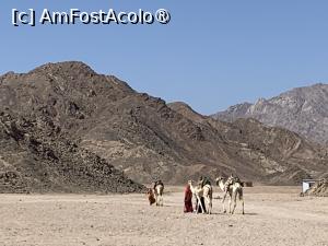 [P26] Împrejurimi sat » foto by AZE
 - 
<span class="allrVoted glyphicon glyphicon-heart hidden" id="av1416921"></span>
<a class="m-l-10 hidden" id="sv1416921" onclick="voting_Foto_DelVot(,1416921,3529)" role="button">șterge vot <span class="glyphicon glyphicon-remove"></span></a>
<a id="v91416921" class=" c-red"  onclick="voting_Foto_SetVot(1416921)" role="button"><span class="glyphicon glyphicon-heart-empty"></span> <b>LIKE</b> = Votează poza</a> <img class="hidden"  id="f1416921W9" src="/imagini/loader.gif" border="0" /><span class="AjErrMes hidden" id="e1416921ErM"></span>