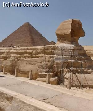 [P01] Marele Sfinx &icirc;n proces de restaurare. » foto by ovidiuyepi
 - 
<span class="allrVoted glyphicon glyphicon-heart hidden" id="av1365356"></span>
<a class="m-l-10 hidden" id="sv1365356" onclick="voting_Foto_DelVot(,1365356,3529)" role="button">șterge vot <span class="glyphicon glyphicon-remove"></span></a>
<a id="v91365356" class=" c-red"  onclick="voting_Foto_SetVot(1365356)" role="button"><span class="glyphicon glyphicon-heart-empty"></span> <b>LIKE</b> = Votează poza</a> <img class="hidden"  id="f1365356W9" src="/imagini/loader.gif" border="0" /><span class="AjErrMes hidden" id="e1365356ErM"></span>