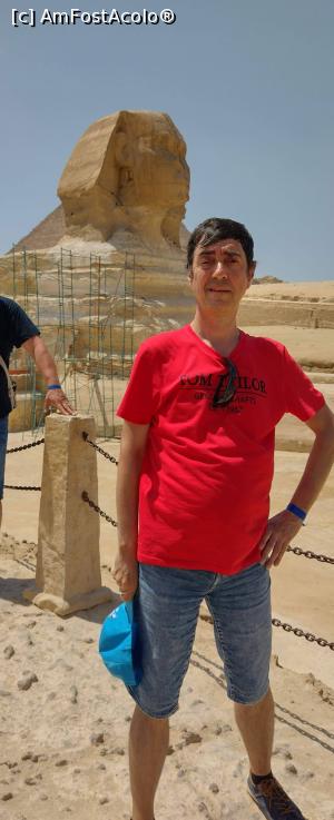 [P66] Ce mic sunt pe lângă Marele Sfinx ! » foto by ovidiuyepi
 - 
<span class="allrVoted glyphicon glyphicon-heart hidden" id="av1365421"></span>
<a class="m-l-10 hidden" id="sv1365421" onclick="voting_Foto_DelVot(,1365421,3529)" role="button">șterge vot <span class="glyphicon glyphicon-remove"></span></a>
<a id="v91365421" class=" c-red"  onclick="voting_Foto_SetVot(1365421)" role="button"><span class="glyphicon glyphicon-heart-empty"></span> <b>LIKE</b> = Votează poza</a> <img class="hidden"  id="f1365421W9" src="/imagini/loader.gif" border="0" /><span class="AjErrMes hidden" id="e1365421ErM"></span>