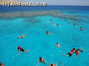 [P08] snorkeling in mare » foto by lianacioban
 - 
<span class="allrVoted glyphicon glyphicon-heart hidden" id="av1081699"></span>
<a class="m-l-10 hidden" id="sv1081699" onclick="voting_Foto_DelVot(,1081699,3529)" role="button">șterge vot <span class="glyphicon glyphicon-remove"></span></a>
<a id="v91081699" class=" c-red"  onclick="voting_Foto_SetVot(1081699)" role="button"><span class="glyphicon glyphicon-heart-empty"></span> <b>LIKE</b> = Votează poza</a> <img class="hidden"  id="f1081699W9" src="/imagini/loader.gif" border="0" /><span class="AjErrMes hidden" id="e1081699ErM"></span>