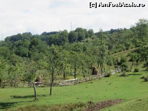 [P19] Peisaje autentice rurale - comuna Racovița.  » foto by tata123 🔱
 - 
<span class="allrVoted glyphicon glyphicon-heart hidden" id="av674490"></span>
<a class="m-l-10 hidden" id="sv674490" onclick="voting_Foto_DelVot(,674490,3540)" role="button">șterge vot <span class="glyphicon glyphicon-remove"></span></a>
<a id="v9674490" class=" c-red"  onclick="voting_Foto_SetVot(674490)" role="button"><span class="glyphicon glyphicon-heart-empty"></span> <b>LIKE</b> = Votează poza</a> <img class="hidden"  id="f674490W9" src="/imagini/loader.gif" border="0" /><span class="AjErrMes hidden" id="e674490ErM"></span>