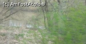 [P18] Oltul, Transilvania » foto by Mioritik
 - 
<span class="allrVoted glyphicon glyphicon-heart hidden" id="av1297529"></span>
<a class="m-l-10 hidden" id="sv1297529" onclick="voting_Foto_DelVot(,1297529,3541)" role="button">șterge vot <span class="glyphicon glyphicon-remove"></span></a>
<a id="v91297529" class=" c-red"  onclick="voting_Foto_SetVot(1297529)" role="button"><span class="glyphicon glyphicon-heart-empty"></span> <b>LIKE</b> = Votează poza</a> <img class="hidden"  id="f1297529W9" src="/imagini/loader.gif" border="0" /><span class="AjErrMes hidden" id="e1297529ErM"></span>