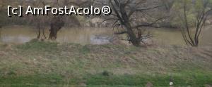 [P25] Oltul, Transilvania » foto by Mioritik
 - 
<span class="allrVoted glyphicon glyphicon-heart hidden" id="av1297536"></span>
<a class="m-l-10 hidden" id="sv1297536" onclick="voting_Foto_DelVot(,1297536,3541)" role="button">șterge vot <span class="glyphicon glyphicon-remove"></span></a>
<a id="v91297536" class=" c-red"  onclick="voting_Foto_SetVot(1297536)" role="button"><span class="glyphicon glyphicon-heart-empty"></span> <b>LIKE</b> = Votează poza</a> <img class="hidden"  id="f1297536W9" src="/imagini/loader.gif" border="0" /><span class="AjErrMes hidden" id="e1297536ErM"></span>