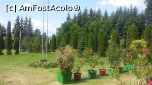 [P05] Flori şi verdeaţă la Mănăstirea Topliţa, jud. Harghita.  » foto by traian.leuca †
 - 
<span class="allrVoted glyphicon glyphicon-heart hidden" id="av784468"></span>
<a class="m-l-10 hidden" id="sv784468" onclick="voting_Foto_DelVot(,784468,3541)" role="button">șterge vot <span class="glyphicon glyphicon-remove"></span></a>
<a id="v9784468" class=" c-red"  onclick="voting_Foto_SetVot(784468)" role="button"><span class="glyphicon glyphicon-heart-empty"></span> <b>LIKE</b> = Votează poza</a> <img class="hidden"  id="f784468W9" src="/imagini/loader.gif" border="0" /><span class="AjErrMes hidden" id="e784468ErM"></span>