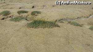 [P13] vegetatia incearca sa isi faca si ea loc » foto by rmnk
 - 
<span class="allrVoted glyphicon glyphicon-heart hidden" id="av562448"></span>
<a class="m-l-10 hidden" id="sv562448" onclick="voting_Foto_DelVot(,562448,3566)" role="button">șterge vot <span class="glyphicon glyphicon-remove"></span></a>
<a id="v9562448" class=" c-red"  onclick="voting_Foto_SetVot(562448)" role="button"><span class="glyphicon glyphicon-heart-empty"></span> <b>LIKE</b> = Votează poza</a> <img class="hidden"  id="f562448W9" src="/imagini/loader.gif" border="0" /><span class="AjErrMes hidden" id="e562448ErM"></span>