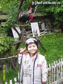 [P03] punguta cu doi bani » foto by sbacau
 - 
<span class="allrVoted glyphicon glyphicon-heart hidden" id="av44416"></span>
<a class="m-l-10 hidden" id="sv44416" onclick="voting_Foto_DelVot(,44416,3571)" role="button">șterge vot <span class="glyphicon glyphicon-remove"></span></a>
<a id="v944416" class=" c-red"  onclick="voting_Foto_SetVot(44416)" role="button"><span class="glyphicon glyphicon-heart-empty"></span> <b>LIKE</b> = Votează poza</a> <img class="hidden"  id="f44416W9" src="/imagini/loader.gif" border="0" /><span class="AjErrMes hidden" id="e44416ErM"></span>