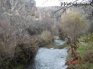 [P22]  -- <small>// FĂRĂ DESCRIERE</small> » foto by crismis
 - 
<span class="allrVoted glyphicon glyphicon-heart hidden" id="av580405"></span>
<a class="m-l-10 hidden" id="sv580405" onclick="voting_Foto_DelVot(,580405,3573)" role="button">șterge vot <span class="glyphicon glyphicon-remove"></span></a>
<a id="v9580405" class=" c-red"  onclick="voting_Foto_SetVot(580405)" role="button"><span class="glyphicon glyphicon-heart-empty"></span> <b>LIKE</b> = Votează poza</a> <img class="hidden"  id="f580405W9" src="/imagini/loader.gif" border="0" /><span class="AjErrMes hidden" id="e580405ErM"></span>