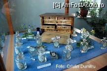 [P12] Muzeul de Stiinte Naturale de la Valenii de Munte » foto by cristinadumitru*
 - 
<span class="allrVoted glyphicon glyphicon-heart hidden" id="av22505"></span>
<a class="m-l-10 hidden" id="sv22505" onclick="voting_Foto_DelVot(,22505,3607)" role="button">șterge vot <span class="glyphicon glyphicon-remove"></span></a>
<a id="v922505" class=" c-red"  onclick="voting_Foto_SetVot(22505)" role="button"><span class="glyphicon glyphicon-heart-empty"></span> <b>LIKE</b> = Votează poza</a> <img class="hidden"  id="f22505W9" src="/imagini/loader.gif" border="0" /><span class="AjErrMes hidden" id="e22505ErM"></span>