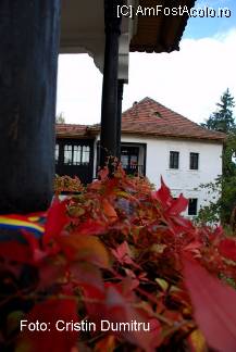 [P04] Casa memoriala Nicolae Iorga - Valenii de Munte » foto by cristinadumitru*
 - 
<span class="allrVoted glyphicon glyphicon-heart hidden" id="av22497"></span>
<a class="m-l-10 hidden" id="sv22497" onclick="voting_Foto_DelVot(,22497,3607)" role="button">șterge vot <span class="glyphicon glyphicon-remove"></span></a>
<a id="v922497" class=" c-red"  onclick="voting_Foto_SetVot(22497)" role="button"><span class="glyphicon glyphicon-heart-empty"></span> <b>LIKE</b> = Votează poza</a> <img class="hidden"  id="f22497W9" src="/imagini/loader.gif" border="0" /><span class="AjErrMes hidden" id="e22497ErM"></span>