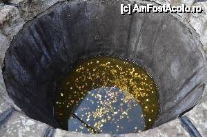 [P53] Banuti » foto by Muffin2009*
 - 
<span class="allrVoted glyphicon glyphicon-heart hidden" id="av486293"></span>
<a class="m-l-10 hidden" id="sv486293" onclick="voting_Foto_DelVot(,486293,3615)" role="button">șterge vot <span class="glyphicon glyphicon-remove"></span></a>
<a id="v9486293" class=" c-red"  onclick="voting_Foto_SetVot(486293)" role="button"><span class="glyphicon glyphicon-heart-empty"></span> <b>LIKE</b> = Votează poza</a> <img class="hidden"  id="f486293W9" src="/imagini/loader.gif" border="0" /><span class="AjErrMes hidden" id="e486293ErM"></span>