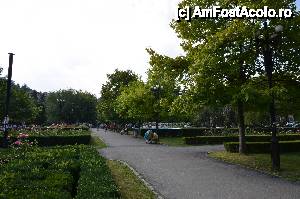 [P57] Parcul Nicolae Titulescu » foto by Muffin2009*
 - 
<span class="allrVoted glyphicon glyphicon-heart hidden" id="av486297"></span>
<a class="m-l-10 hidden" id="sv486297" onclick="voting_Foto_DelVot(,486297,3615)" role="button">șterge vot <span class="glyphicon glyphicon-remove"></span></a>
<a id="v9486297" class=" c-red"  onclick="voting_Foto_SetVot(486297)" role="button"><span class="glyphicon glyphicon-heart-empty"></span> <b>LIKE</b> = Votează poza</a> <img class="hidden"  id="f486297W9" src="/imagini/loader.gif" border="0" /><span class="AjErrMes hidden" id="e486297ErM"></span>