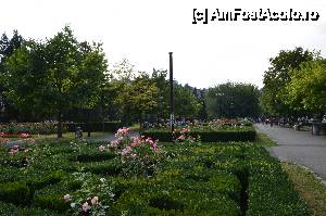 [P58] Parcul Nicolae Titulescu » foto by Muffin2009*
 - 
<span class="allrVoted glyphicon glyphicon-heart hidden" id="av486298"></span>
<a class="m-l-10 hidden" id="sv486298" onclick="voting_Foto_DelVot(,486298,3615)" role="button">șterge vot <span class="glyphicon glyphicon-remove"></span></a>
<a id="v9486298" class=" c-red"  onclick="voting_Foto_SetVot(486298)" role="button"><span class="glyphicon glyphicon-heart-empty"></span> <b>LIKE</b> = Votează poza</a> <img class="hidden"  id="f486298W9" src="/imagini/loader.gif" border="0" /><span class="AjErrMes hidden" id="e486298ErM"></span>