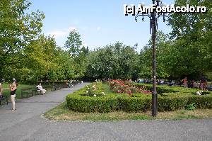 [P59] Parcul Nicolae Titulescu » foto by Muffin2009*
 - 
<span class="allrVoted glyphicon glyphicon-heart hidden" id="av486299"></span>
<a class="m-l-10 hidden" id="sv486299" onclick="voting_Foto_DelVot(,486299,3615)" role="button">șterge vot <span class="glyphicon glyphicon-remove"></span></a>
<a id="v9486299" class=" c-red"  onclick="voting_Foto_SetVot(486299)" role="button"><span class="glyphicon glyphicon-heart-empty"></span> <b>LIKE</b> = Votează poza</a> <img class="hidden"  id="f486299W9" src="/imagini/loader.gif" border="0" /><span class="AjErrMes hidden" id="e486299ErM"></span>