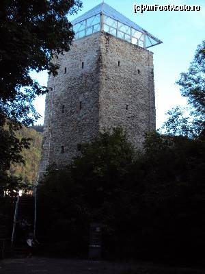 [P03] 3..... și de la baza lui.  » foto by msnd
 - 
<span class="allrVoted glyphicon glyphicon-heart hidden" id="av590229"></span>
<a class="m-l-10 hidden" id="sv590229" onclick="voting_Foto_DelVot(,590229,3615)" role="button">șterge vot <span class="glyphicon glyphicon-remove"></span></a>
<a id="v9590229" class=" c-red"  onclick="voting_Foto_SetVot(590229)" role="button"><span class="glyphicon glyphicon-heart-empty"></span> <b>LIKE</b> = Votează poza</a> <img class="hidden"  id="f590229W9" src="/imagini/loader.gif" border="0" /><span class="AjErrMes hidden" id="e590229ErM"></span>