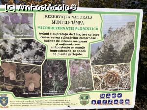 [P22] Brasov- Si cate ceva despre rezervatia naturala Muntele Tampa » foto by mishu
 - 
<span class="allrVoted glyphicon glyphicon-heart hidden" id="av1281737"></span>
<a class="m-l-10 hidden" id="sv1281737" onclick="voting_Foto_DelVot(,1281737,3615)" role="button">șterge vot <span class="glyphicon glyphicon-remove"></span></a>
<a id="v91281737" class=" c-red"  onclick="voting_Foto_SetVot(1281737)" role="button"><span class="glyphicon glyphicon-heart-empty"></span> <b>LIKE</b> = Votează poza</a> <img class="hidden"  id="f1281737W9" src="/imagini/loader.gif" border="0" /><span class="AjErrMes hidden" id="e1281737ErM"></span>