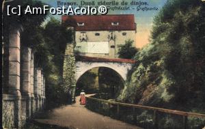 [P04]  -- <small>// FĂRĂ DESCRIERE</small> » foto by bucşa ioan* <span class="label label-default labelC_thin small">NEVOTABILĂ</span>