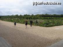 [P11] Gradina palatului Trianon (Versailles) » foto by Michi
 - 
<span class="allrVoted glyphicon glyphicon-heart hidden" id="av79579"></span>
<a class="m-l-10 hidden" id="sv79579" onclick="voting_Foto_DelVot(,79579,3618)" role="button">șterge vot <span class="glyphicon glyphicon-remove"></span></a>
<a id="v979579" class=" c-red"  onclick="voting_Foto_SetVot(79579)" role="button"><span class="glyphicon glyphicon-heart-empty"></span> <b>LIKE</b> = Votează poza</a> <img class="hidden"  id="f79579W9" src="/imagini/loader.gif" border="0" /><span class="AjErrMes hidden" id="e79579ErM"></span>