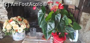 [P29] Și frumoase flori peste tot. » foto by Aurici
 - 
<span class="allrVoted glyphicon glyphicon-heart hidden" id="av1206516"></span>
<a class="m-l-10 hidden" id="sv1206516" onclick="voting_Foto_DelVot(,1206516,3620)" role="button">șterge vot <span class="glyphicon glyphicon-remove"></span></a>
<a id="v91206516" class=" c-red"  onclick="voting_Foto_SetVot(1206516)" role="button"><span class="glyphicon glyphicon-heart-empty"></span> <b>LIKE</b> = Votează poza</a> <img class="hidden"  id="f1206516W9" src="/imagini/loader.gif" border="0" /><span class="AjErrMes hidden" id="e1206516ErM"></span>