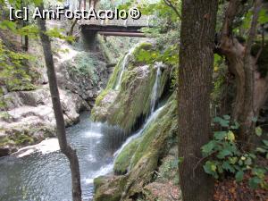 [P05] Cascada celebra in Europa.  » foto by marius gaudi*
 - 
<span class="allrVoted glyphicon glyphicon-heart hidden" id="av843852"></span>
<a class="m-l-10 hidden" id="sv843852" onclick="voting_Foto_DelVot(,843852,3645)" role="button">șterge vot <span class="glyphicon glyphicon-remove"></span></a>
<a id="v9843852" class=" c-red"  onclick="voting_Foto_SetVot(843852)" role="button"><span class="glyphicon glyphicon-heart-empty"></span> <b>LIKE</b> = Votează poza</a> <img class="hidden"  id="f843852W9" src="/imagini/loader.gif" border="0" /><span class="AjErrMes hidden" id="e843852ErM"></span>