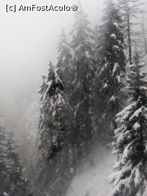 [P14]  -- <small>// FĂRĂ DESCRIERE</small> » foto by adryana
 - 
<span class="allrVoted glyphicon glyphicon-heart hidden" id="av953745"></span>
<a class="m-l-10 hidden" id="sv953745" onclick="voting_Foto_DelVot(,953745,3677)" role="button">șterge vot <span class="glyphicon glyphicon-remove"></span></a>
<a id="v9953745" class=" c-red"  onclick="voting_Foto_SetVot(953745)" role="button"><span class="glyphicon glyphicon-heart-empty"></span> <b>LIKE</b> = Votează poza</a> <img class="hidden"  id="f953745W9" src="/imagini/loader.gif" border="0" /><span class="AjErrMes hidden" id="e953745ErM"></span>