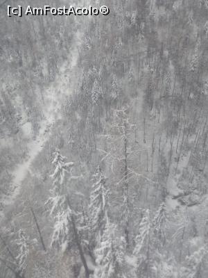 [P15]  -- <small>// FĂRĂ DESCRIERE</small> » foto by adryana
 - 
<span class="allrVoted glyphicon glyphicon-heart hidden" id="av953747"></span>
<a class="m-l-10 hidden" id="sv953747" onclick="voting_Foto_DelVot(,953747,3677)" role="button">șterge vot <span class="glyphicon glyphicon-remove"></span></a>
<a id="v9953747" class=" c-red"  onclick="voting_Foto_SetVot(953747)" role="button"><span class="glyphicon glyphicon-heart-empty"></span> <b>LIKE</b> = Votează poza</a> <img class="hidden"  id="f953747W9" src="/imagini/loader.gif" border="0" /><span class="AjErrMes hidden" id="e953747ErM"></span>