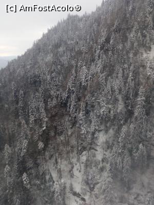 [P16]  -- <small>// FĂRĂ DESCRIERE</small> » foto by adryana
 - 
<span class="allrVoted glyphicon glyphicon-heart hidden" id="av953748"></span>
<a class="m-l-10 hidden" id="sv953748" onclick="voting_Foto_DelVot(,953748,3677)" role="button">șterge vot <span class="glyphicon glyphicon-remove"></span></a>
<a id="v9953748" class=" c-red"  onclick="voting_Foto_SetVot(953748)" role="button"><span class="glyphicon glyphicon-heart-empty"></span> <b>LIKE</b> = Votează poza</a> <img class="hidden"  id="f953748W9" src="/imagini/loader.gif" border="0" /><span class="AjErrMes hidden" id="e953748ErM"></span>