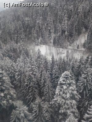 [P17]  -- <small>// FĂRĂ DESCRIERE</small> » foto by adryana
 - 
<span class="allrVoted glyphicon glyphicon-heart hidden" id="av953750"></span>
<a class="m-l-10 hidden" id="sv953750" onclick="voting_Foto_DelVot(,953750,3677)" role="button">șterge vot <span class="glyphicon glyphicon-remove"></span></a>
<a id="v9953750" class=" c-red"  onclick="voting_Foto_SetVot(953750)" role="button"><span class="glyphicon glyphicon-heart-empty"></span> <b>LIKE</b> = Votează poza</a> <img class="hidden"  id="f953750W9" src="/imagini/loader.gif" border="0" /><span class="AjErrMes hidden" id="e953750ErM"></span>