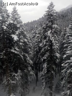 [P18]  -- <small>// FĂRĂ DESCRIERE</small> » foto by adryana
 - 
<span class="allrVoted glyphicon glyphicon-heart hidden" id="av953751"></span>
<a class="m-l-10 hidden" id="sv953751" onclick="voting_Foto_DelVot(,953751,3677)" role="button">șterge vot <span class="glyphicon glyphicon-remove"></span></a>
<a id="v9953751" class=" c-red"  onclick="voting_Foto_SetVot(953751)" role="button"><span class="glyphicon glyphicon-heart-empty"></span> <b>LIKE</b> = Votează poza</a> <img class="hidden"  id="f953751W9" src="/imagini/loader.gif" border="0" /><span class="AjErrMes hidden" id="e953751ErM"></span>