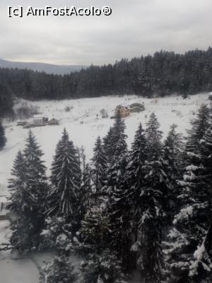 [P19]  -- <small>// FĂRĂ DESCRIERE</small> » foto by adryana
 - 
<span class="allrVoted glyphicon glyphicon-heart hidden" id="av953752"></span>
<a class="m-l-10 hidden" id="sv953752" onclick="voting_Foto_DelVot(,953752,3677)" role="button">șterge vot <span class="glyphicon glyphicon-remove"></span></a>
<a id="v9953752" class=" c-red"  onclick="voting_Foto_SetVot(953752)" role="button"><span class="glyphicon glyphicon-heart-empty"></span> <b>LIKE</b> = Votează poza</a> <img class="hidden"  id="f953752W9" src="/imagini/loader.gif" border="0" /><span class="AjErrMes hidden" id="e953752ErM"></span>