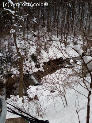 [P23]  -- <small>// FĂRĂ DESCRIERE</small> » foto by adryana
 - 
<span class="allrVoted glyphicon glyphicon-heart hidden" id="av953758"></span>
<a class="m-l-10 hidden" id="sv953758" onclick="voting_Foto_DelVot(,953758,3677)" role="button">șterge vot <span class="glyphicon glyphicon-remove"></span></a>
<a id="v9953758" class=" c-red"  onclick="voting_Foto_SetVot(953758)" role="button"><span class="glyphicon glyphicon-heart-empty"></span> <b>LIKE</b> = Votează poza</a> <img class="hidden"  id="f953758W9" src="/imagini/loader.gif" border="0" /><span class="AjErrMes hidden" id="e953758ErM"></span>